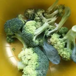 Make Fried broccoli step 0