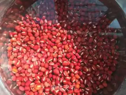 Make Honey Bean step 0