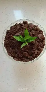 Make Olio