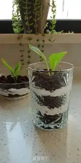 Make Olio
