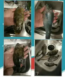 Make Burning sea fish step 1