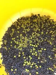 Make Black rice and green beans step 2