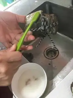 Make Crabs on the side step 1