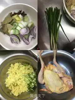 Make White pheasant step 1