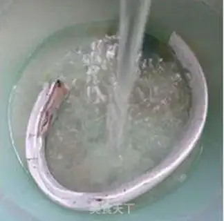 Make Cheese and fish step 3