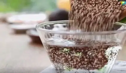 Make Quinoa butter and fruit salad step 0
