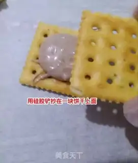 Make Cow tarts step 5