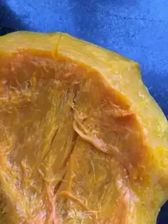 Make Pumpkin step 0