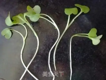 Make radish step 0
