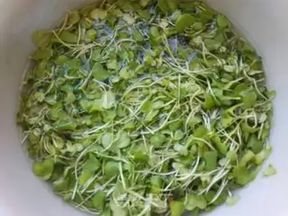 Make radish step 1