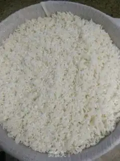 Make Homemade rice wine step 2