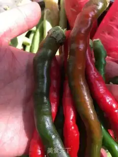 Make Sichuan pickles step 2