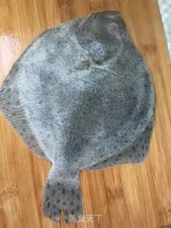 Make Fresh fish step 0