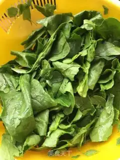 Make Spinach muddock step 0