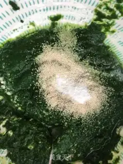 Make Spinach muddock step 9