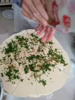 Make Scratch onion step 13