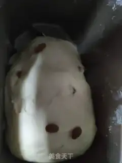 Make raisin toast step 2