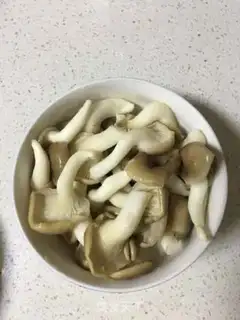 Make Pelicans step 1