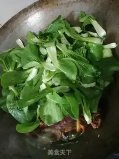 Make Come back to the cabbage step 3