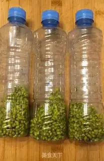 Make Homemade green bean buds step 4