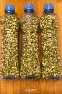 Make Homemade green bean buds step 7