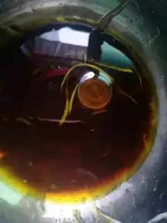 Make Sprinkled bean peel step 3