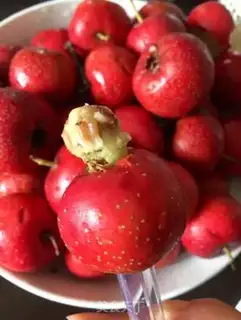Make Sugar berries step 0