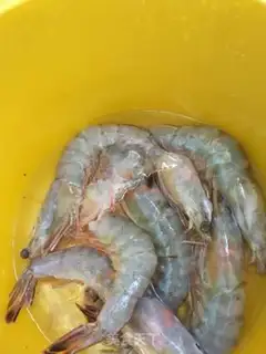Make Shrimp broccoli step 0