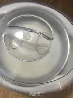 Make Homemade honey yogurt step 6