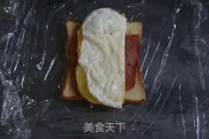 Make A sandwich step 12