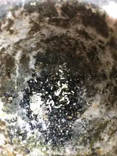 Make Chinese oil salad step 9