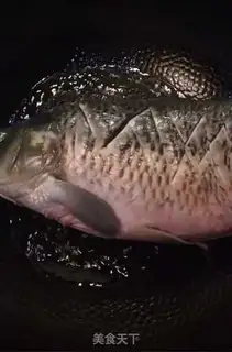Make Carp step 2