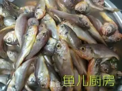 Make Two silky yellow fish step 0