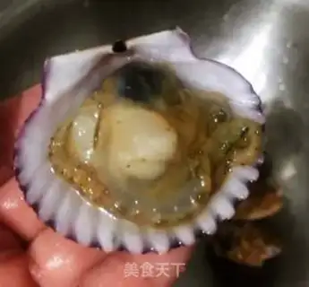 Make Scallop-sprouts step 3