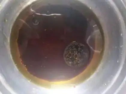 Make Red oil pig tongue step 4