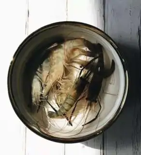 Make Shrimp Inch