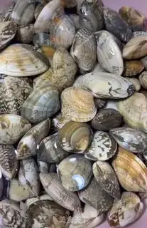Make Seafood step 0
