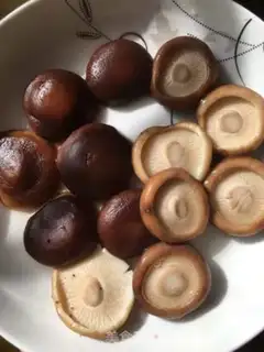 Make Mushroom oil step 0