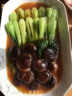 Make Mushroom oil step 6