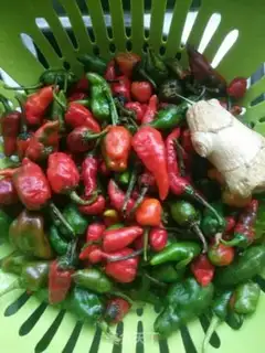 Make Homemade chili sauce step 0