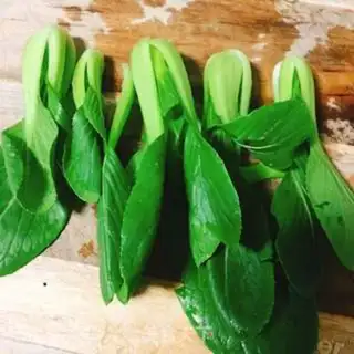 Make Meatball green egg noodles step 0