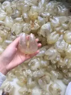 Make Chicken gum step 1