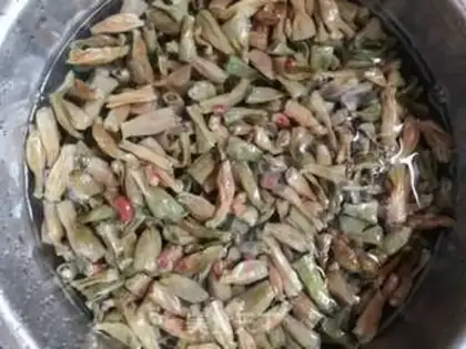 Make Five flowers and beans step 0
