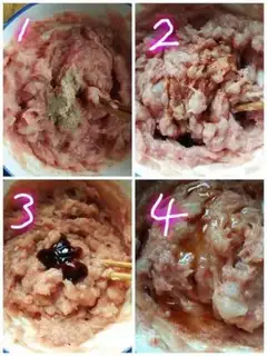 Make Shrimp and pork step 11