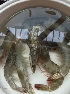 Make Roach-cracked shrimp step 2