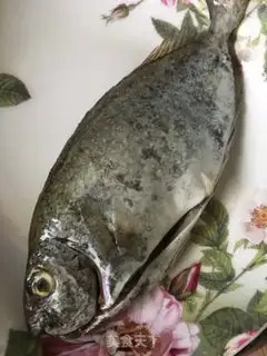 Make Fried mud fish step 0