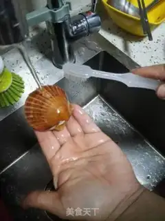 Make White burning scallop step 2