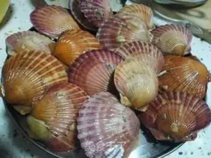 Make White burning scallop step 3