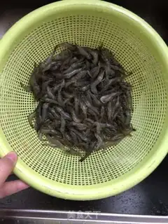 Make Homemade calcium shrimp leather powder step 1