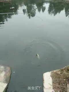 Make Steam fish step 0